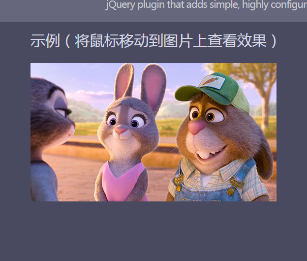 jquery图片放大插件ZoomIt